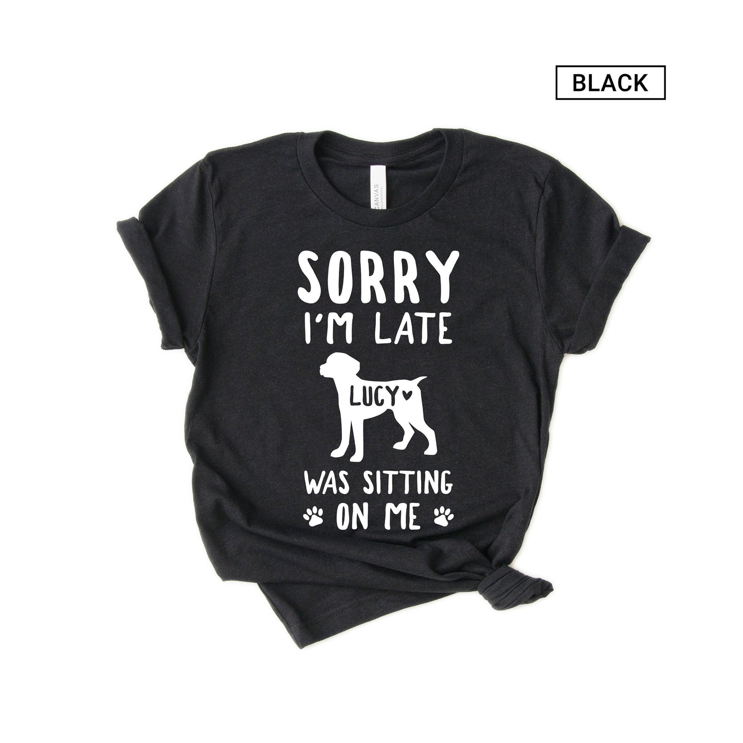 Unisex Personalized Brittany Dog Shirt - Custom Brittany Spaniel Shirt - Gift