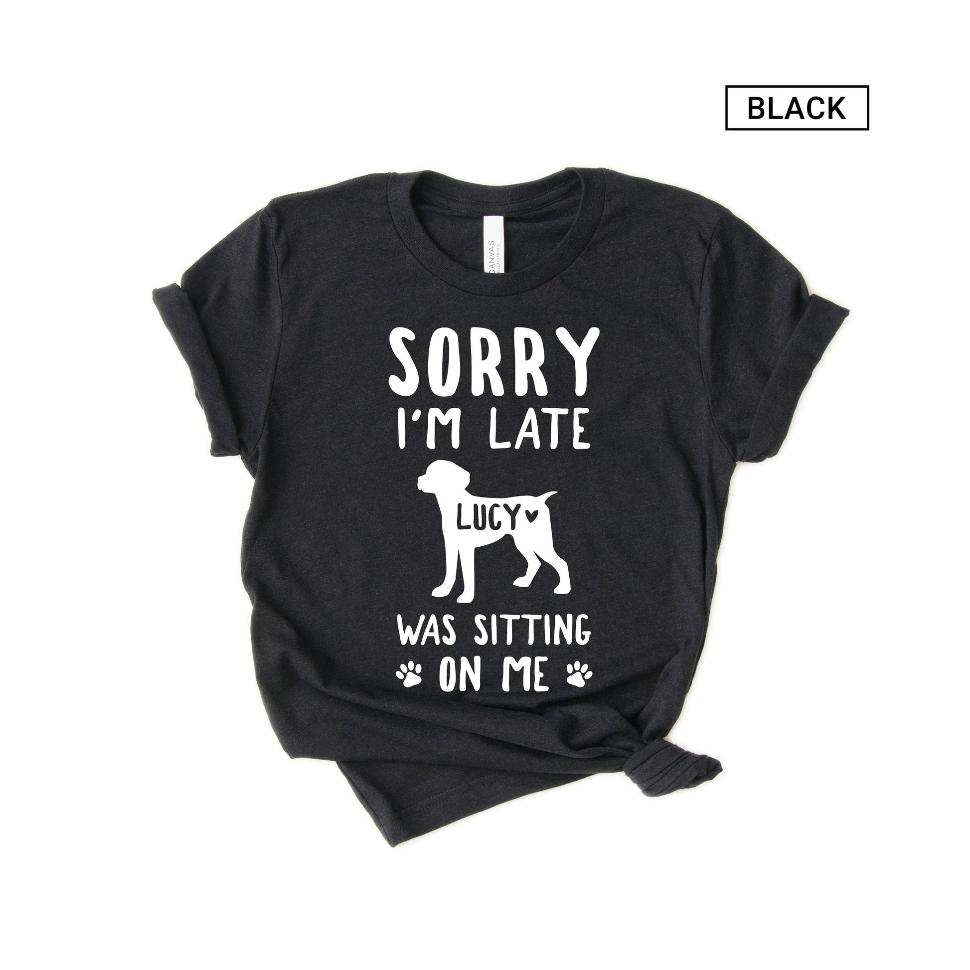 Unisex Personalized Brittany Dog Shirt - Custom Brittany Spaniel Shirt - Gift